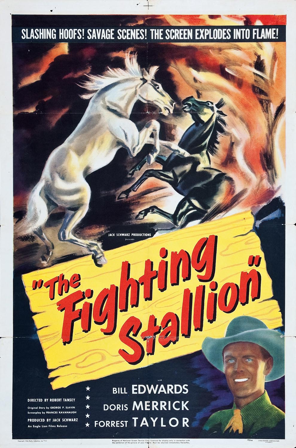 FIGHTING STALLION, THE